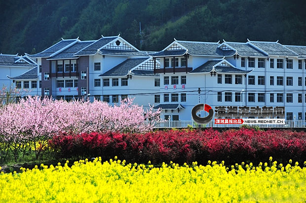 網(wǎng)友曝張家界“最牛鄉(xiāng)村學(xué)校”似別墅 耗資4000萬