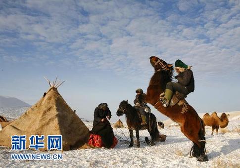 新疆阿勒泰百萬牲畜大轉場