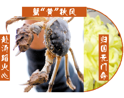 德國(guó)大閘蟹“戰(zhàn)敗”賠款 電商：“我們搞砸了”