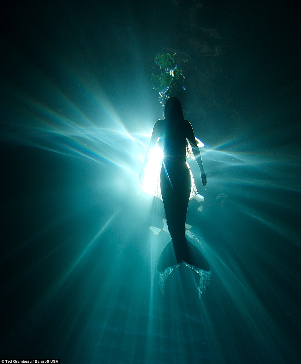 澳模特變身“美人魚” 與鯨共舞倡導(dǎo)保護海洋生物