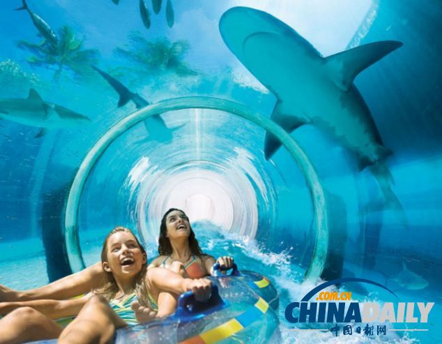 組圖：巴哈馬超酷水滑梯帶來(lái)風(fēng)馳電掣體驗(yàn) 與鯊魚(yú)“同游”