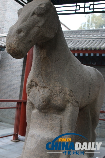 絲綢之路不朽見(jiàn)證：碑林博物館文物選評(píng)