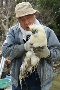 日本地震近一個(gè)月奇跡頻現(xiàn) 75歲老翁獲救、“雞堅(jiān)強(qiáng)”生還