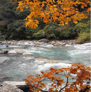 找一找哪里的紅葉最瘋狂？(圖)