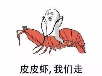 “皮皮蝦我們走！”用英語怎么說？