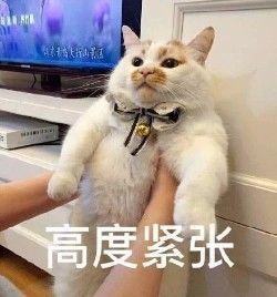 美國人有多愛夸人？居然飆車過來夸我鞋子美？？？