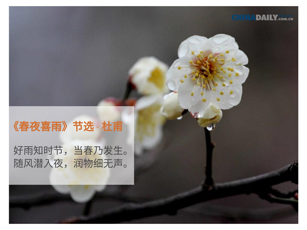 關(guān)于春天的五首中國(guó)古詩(shī)（組圖）