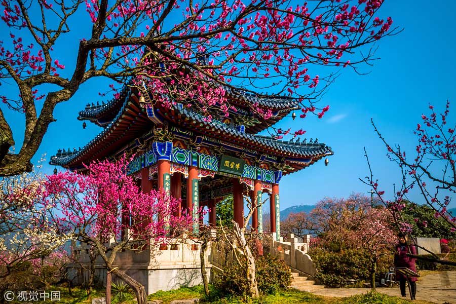 踏青季：春天盛開(kāi)的9種鮮花 哪一種最美？（組圖）