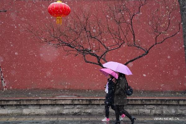 北京結(jié)束145天無有效降水紀錄