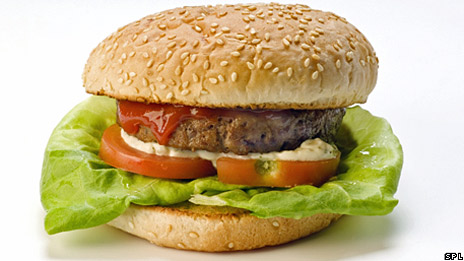 World's first lab-grown burger 世界首創(chuàng)實(shí)驗(yàn)室人造漢堡