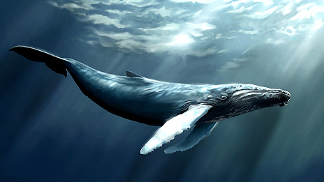 Whale song plan for old military base 改建之后的“鯨魚之歌”旅游景點(diǎn)
