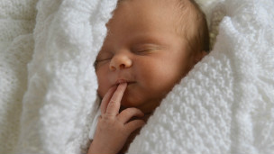 Sleepy? Blame your parents! 總發(fā)困？怨父母!