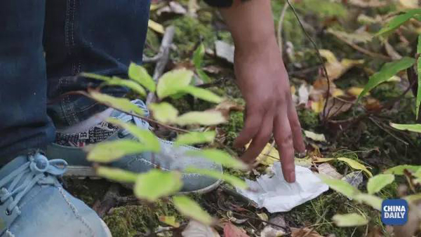 小康之路：他們曾經(jīng)是伐木人，如今卻成了護林員和藏香廠老板丨解碼中國
