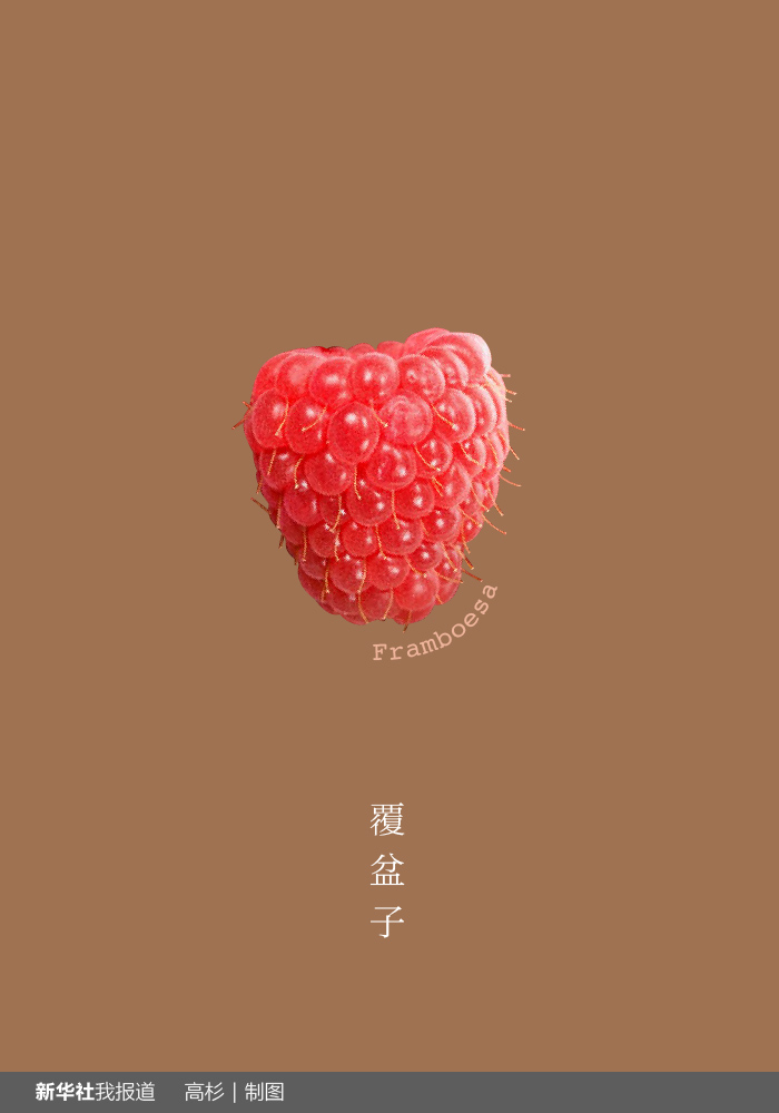 “瘋狂水果城”里約：給你點(diǎn)顏色瞧瞧！