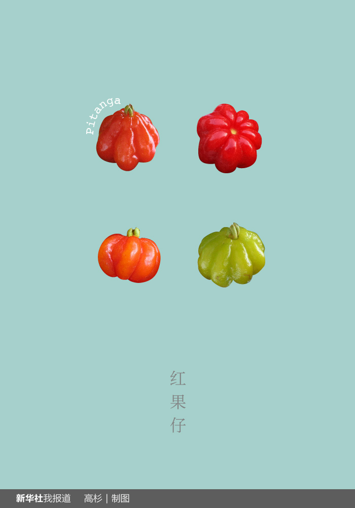 “瘋狂水果城”里約：給你點(diǎn)顏色瞧瞧！