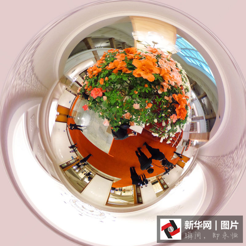 360度全景看大會(huì)堂里春花開(kāi)