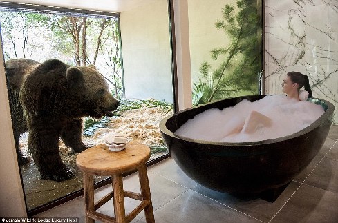 旅館？動(dòng)物園？這是澳大利亞加馬拉野生動(dòng)物旅館！