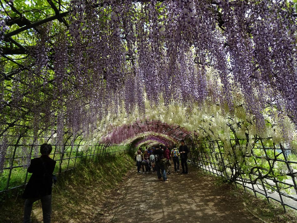 繽紛、靈動(dòng)、斑斕：世界上最美的18座花園