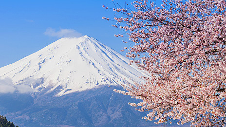 Free internet for Mount Fuji climbers 日本富士山向游客提供免費無線網(wǎng)