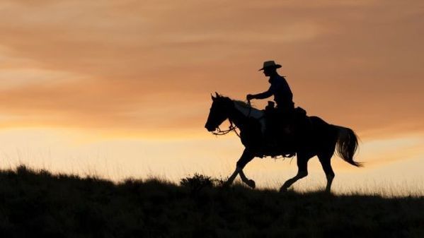 在挪威，texas不只是德克薩斯