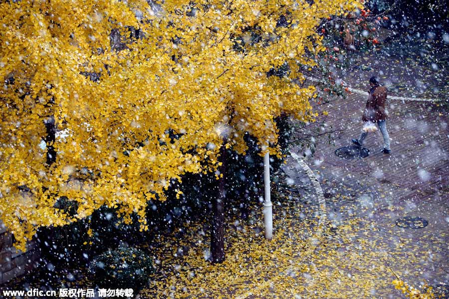 雪后居庸關(guān)長(zhǎng)城美景（組圖）