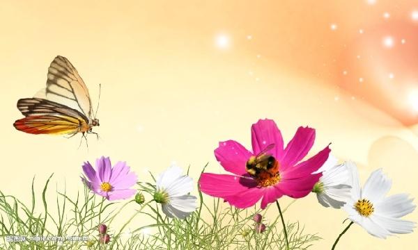 春天，一起來讀詩，雙語的！