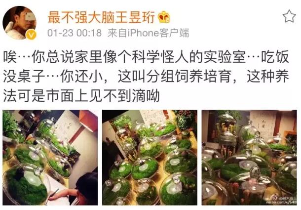 像最強大腦“水哥”這樣的神級人物，要用怎樣的英文詞來形容