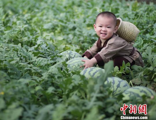 2歲萌娃吆喝自家西瓜 這個(gè)“瓜娃子”要火！（組圖）