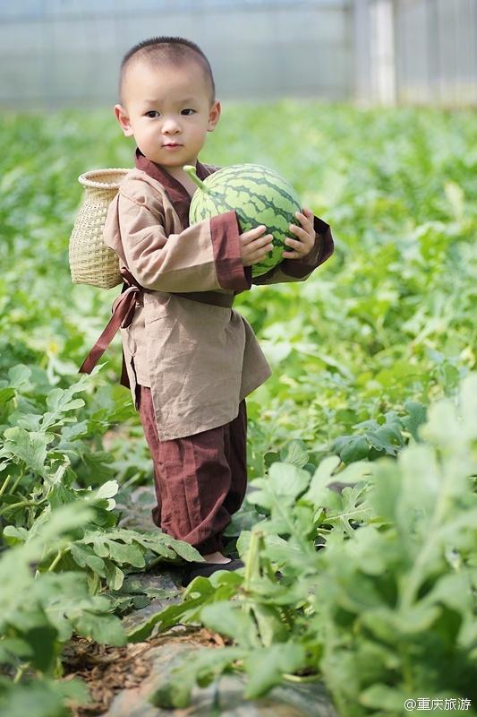 2歲萌娃吆喝自家西瓜 這個(gè)“瓜娃子”要火！（組圖）