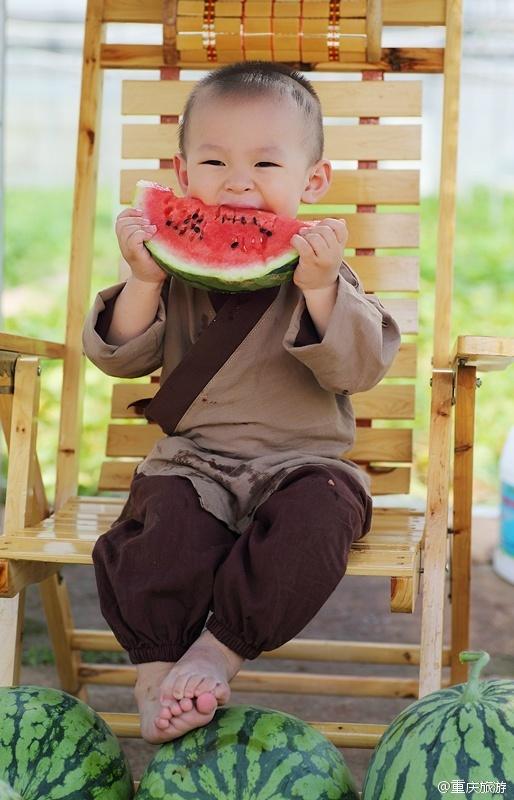 2歲萌娃吆喝自家西瓜 這個(gè)“瓜娃子”要火?。ńM圖）