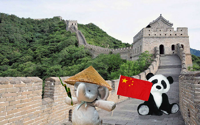 寶貝，你的小象不是丟了，而是去環(huán)游世界了（組圖）
