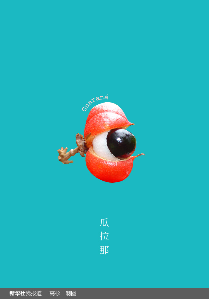 “瘋狂水果城”里約：給你點顏色瞧瞧！