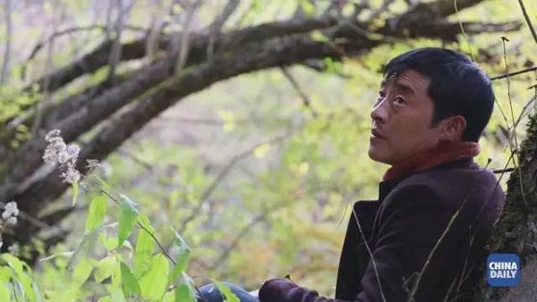 小康之路：他們曾經(jīng)是伐木人，如今卻成了護(hù)林員和藏香廠老板丨解碼中國