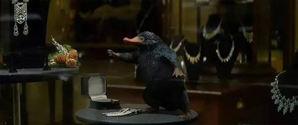 《神奇動物》里都有哪些神奇的動物？
