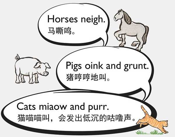 自然界中有各種聲音 如何用英語來描述動物的叫聲？