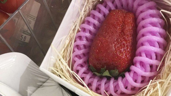 這種草莓150元一顆，一定很好吃……吧？