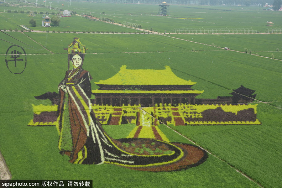 春回大地草木萌動(dòng) 盤(pán)點(diǎn)那些農(nóng)田光景返樸歸真（組圖）