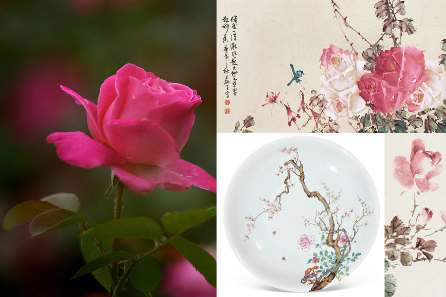 最能代表中國(guó)的10種花：你對(duì)它們了解多少（組圖）