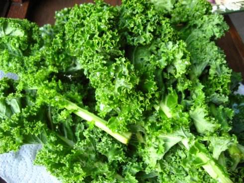 隨便吃也不用擔(dān)心長(zhǎng)胖的14種食物