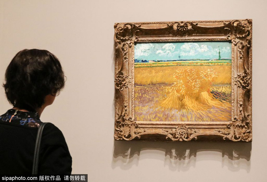 全球獨家！世界上首個梵高個人作品展在墨爾本舉辦（組圖）
