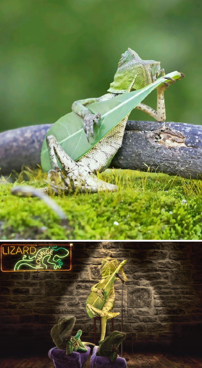 網(wǎng)絡(luò)PS大戰(zhàn)：誰是贏家？（組圖）