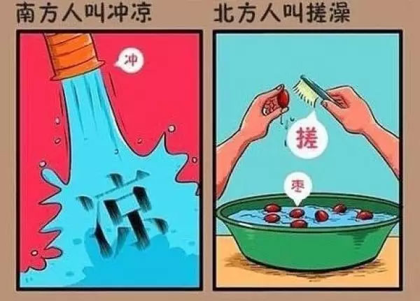 “南北差異”大討論：南方買菜買一頓，北方買菜買一噸？