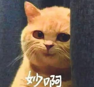 揭秘各國(guó)兵哥哥的野戰(zhàn)口糧！看到韓國(guó)的，忍不住笑出了聲…