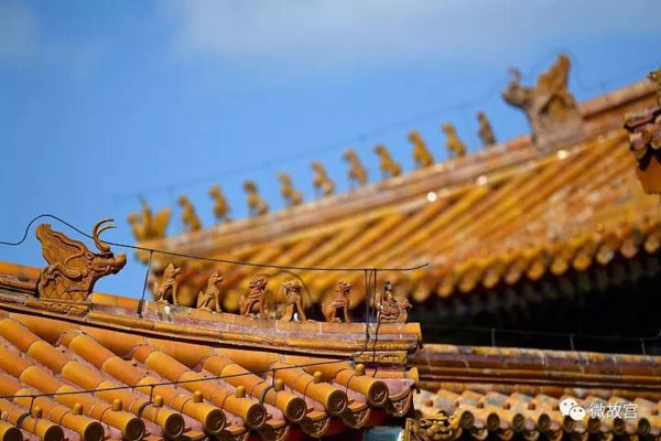 習近平特朗普同游故宮！那些讓特朗普驚嘆的殿、樓、齋，用英文怎么說？