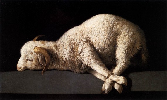 替罪羊（scapegoat）、敗家羊（black sheep），為何英語(yǔ)中背鍋的總是羊
