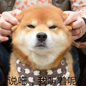 如何高級又委婉地表達(dá)“你很蠢”？