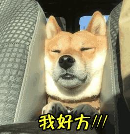 支付寶年度賬單挖了個大坑，你也不慎掉進(jìn)去了嗎？