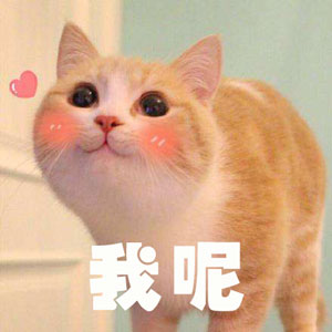 調(diào)查顯示狗奴比貓奴賺得多，你覺得準嗎？