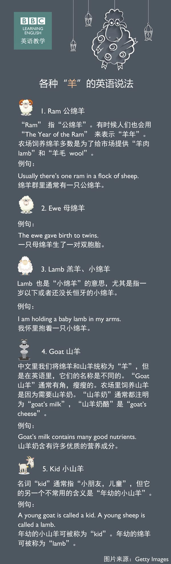 各種“羊”的英語(yǔ)說(shuō)法