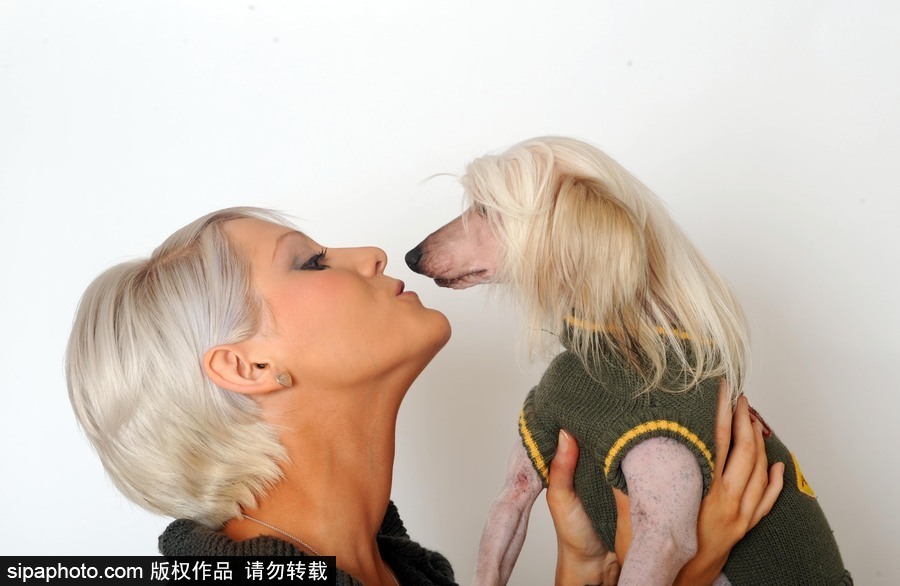 人不如狗系列！走進(jìn)全世界最奢華的狗狗生活（組圖）